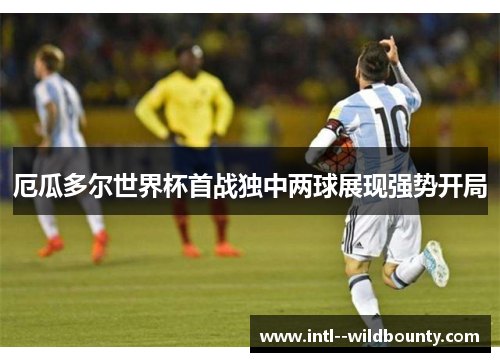 厄瓜多尔世界杯首战独中两球展现强势开局 厄瓜多尔世界杯首战独中两球展现强势开局